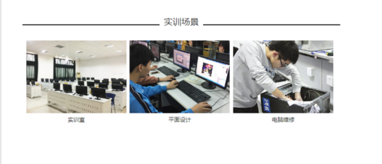 计算机应用与维修与网络设备销售 现代信息技术服务的双重支柱
